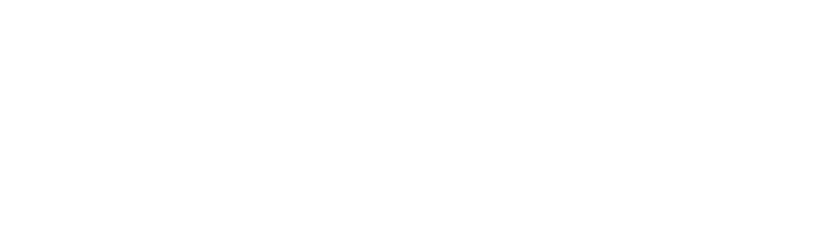 Bookkeeping Doctor Logo wide white